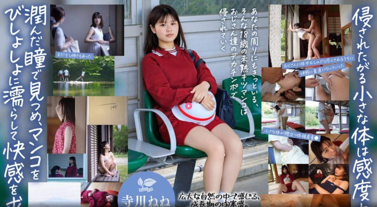 笑傲江湖新版メイリン モデルコレクション メgogo全球人体高清大胆亚洲av高清在线观看
